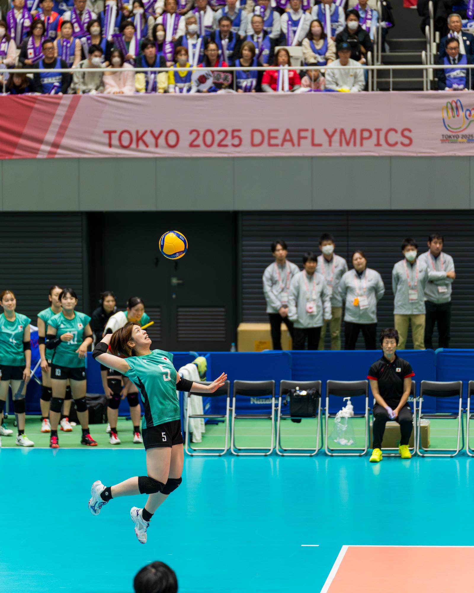 試合でジャンプサーブを打つ尾塚選手の写真