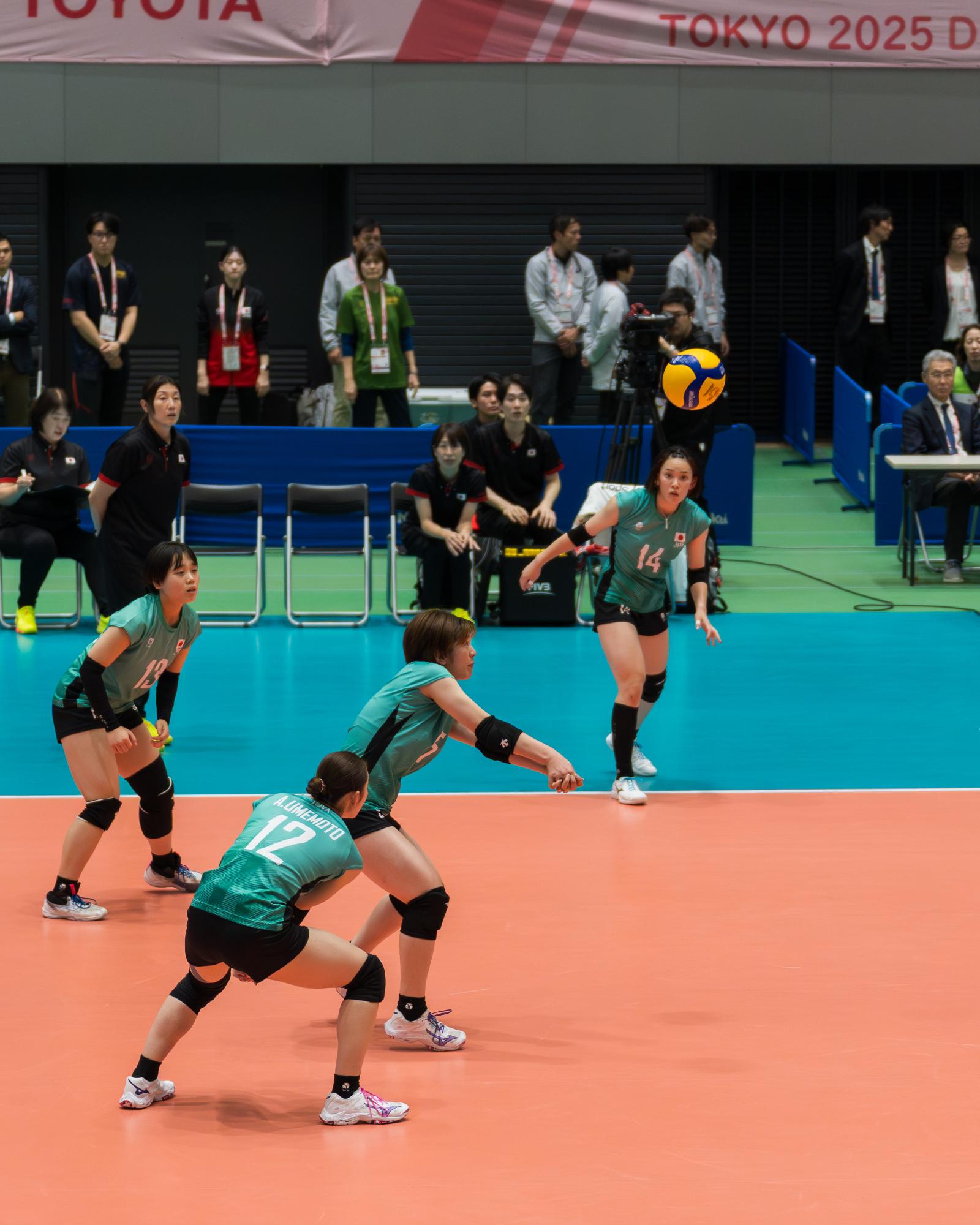 レシーブをする尾塚選手の写真