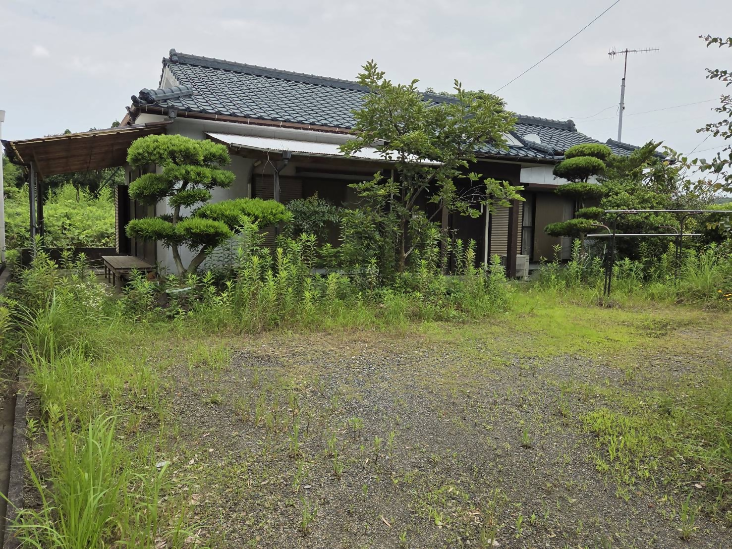 物権36