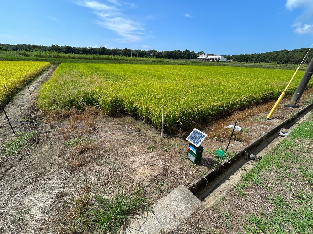 電気柵完成の写真