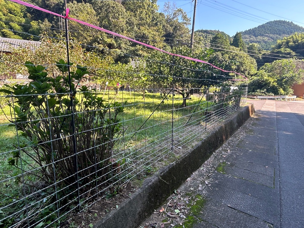 金網柵完成の写真