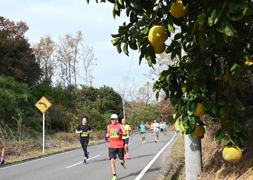 ボンタン畑の横を駆け抜ける走者